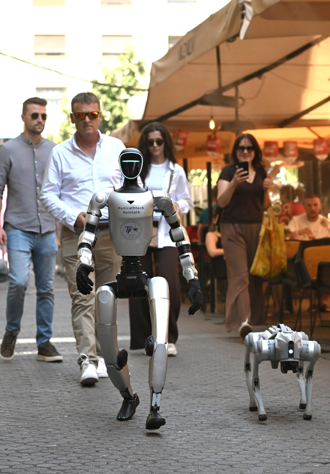Humanoidni robot Tehničkog fakulteta