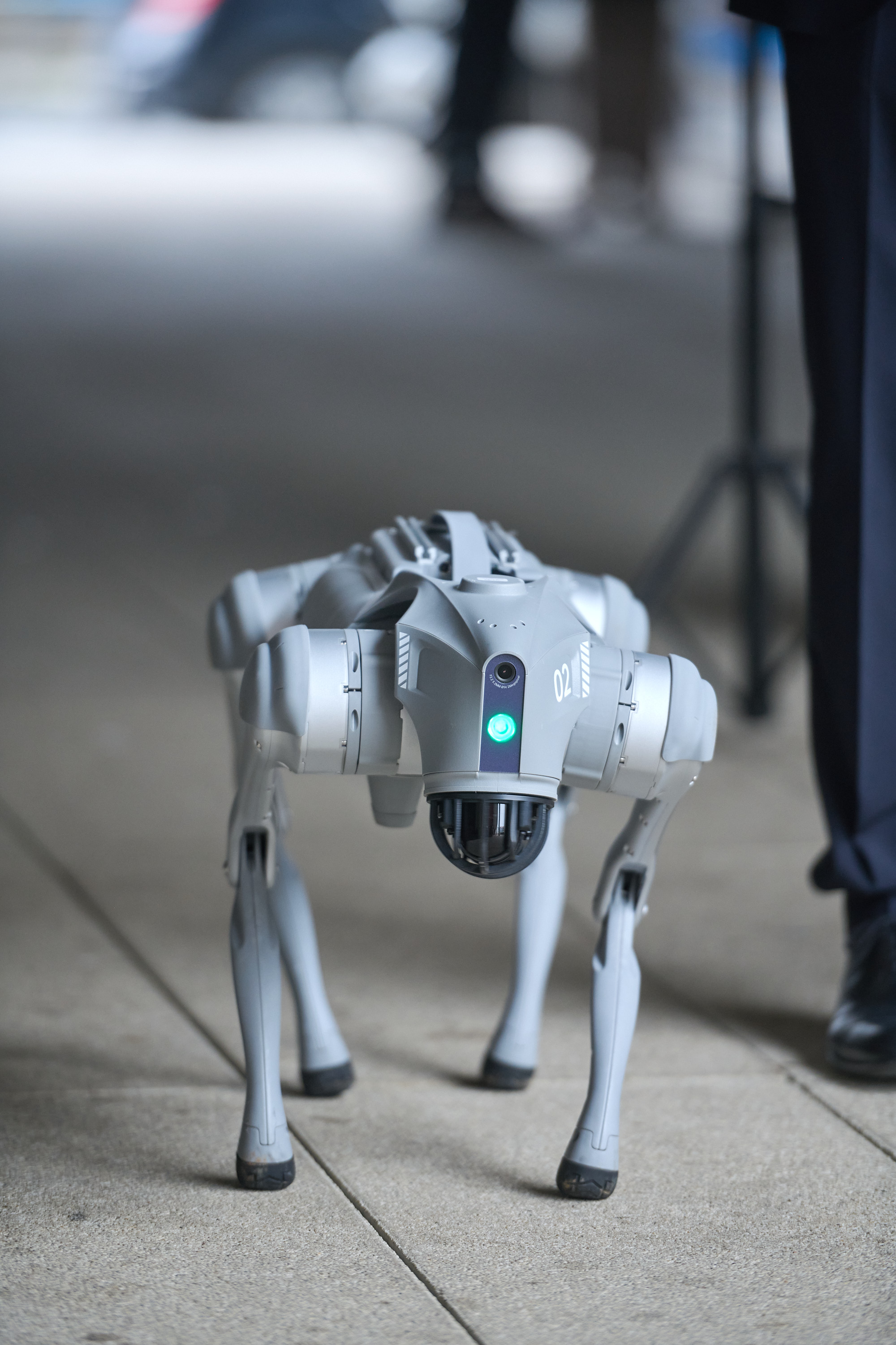 Robotski pas Tehničkog fakulteta